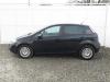 Fiat Punto Evo