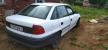 ������������� Opel Astra F