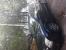 ������������� Opel Vectra C