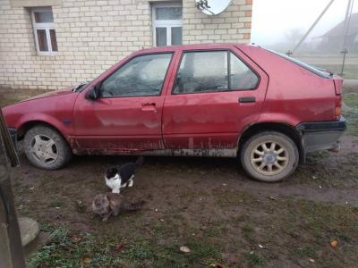 Renault 19