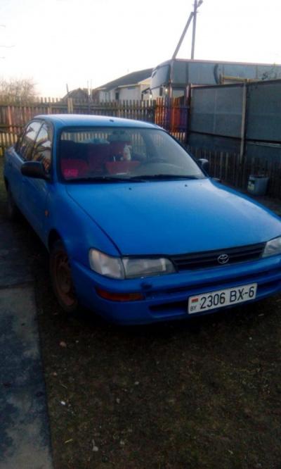 Toyota Corolla