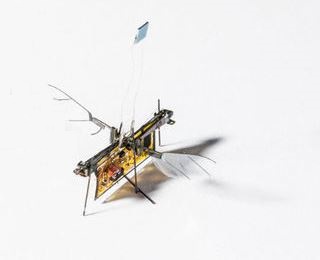 Роботизированная лазерная муха RoboFly