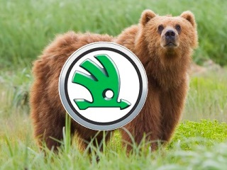 Семиместный кроссовер Skoda назовут в честь медведя